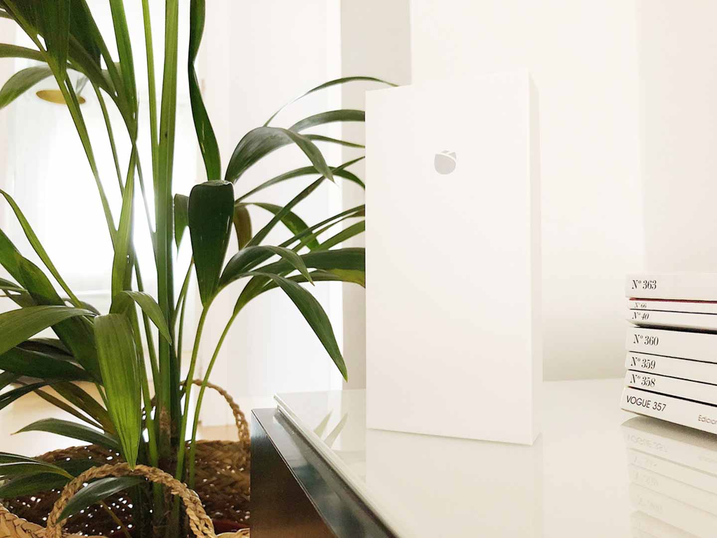 si Limpia la habitación Betsy Trotwood Cuidados de una planta. Xiaomi Flower Care — Productos Amazing
